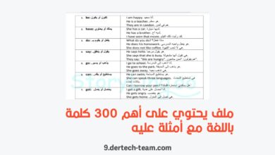 ملف يحتوي أهم 300 كلمة باللغة مع أمثلة عليه
